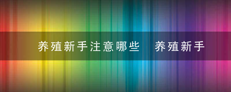 养殖新手注意哪些 养殖新手注意事项